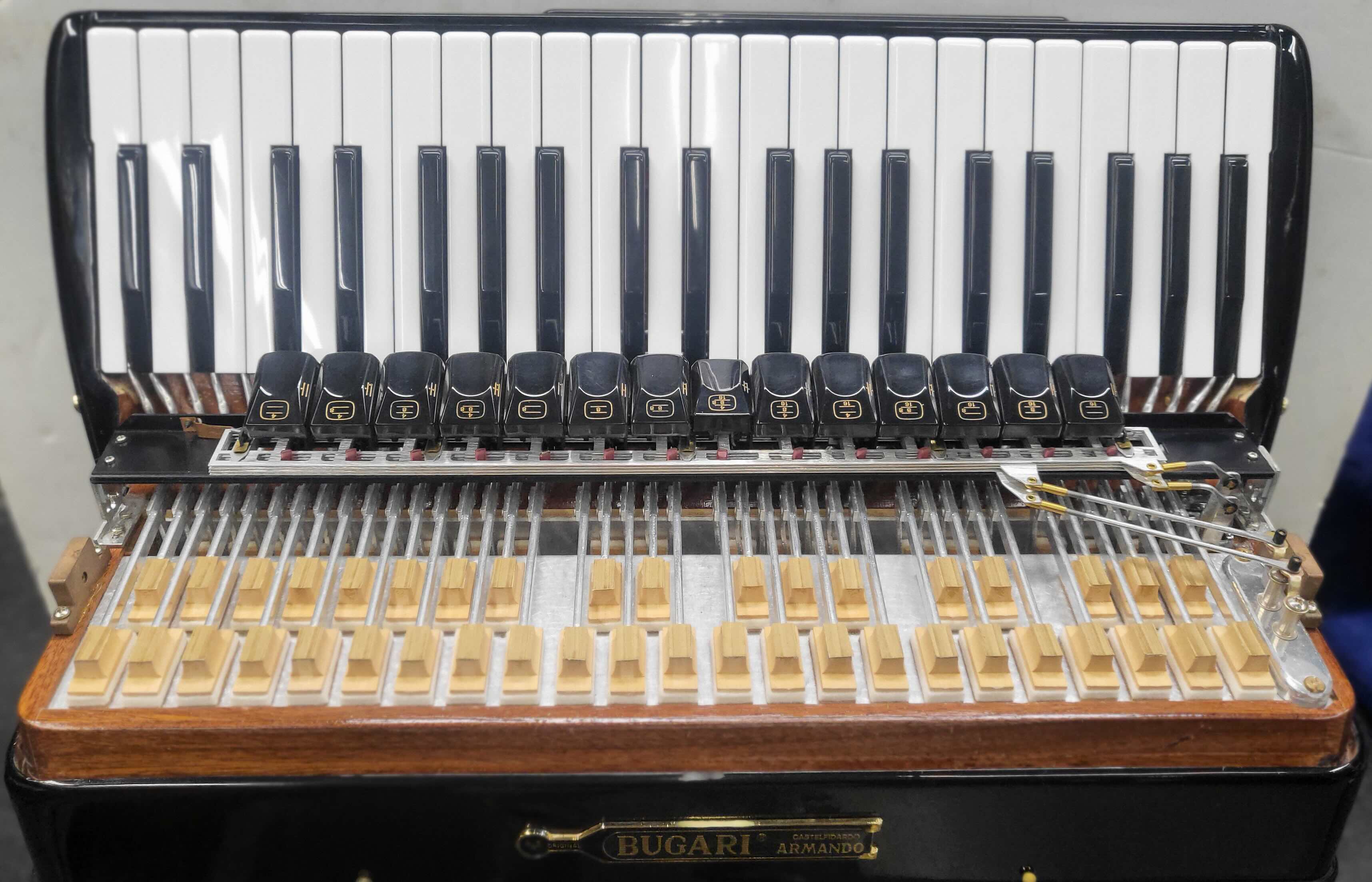 Bugari Reeds Bugari 288 Gold Series (19 1/2