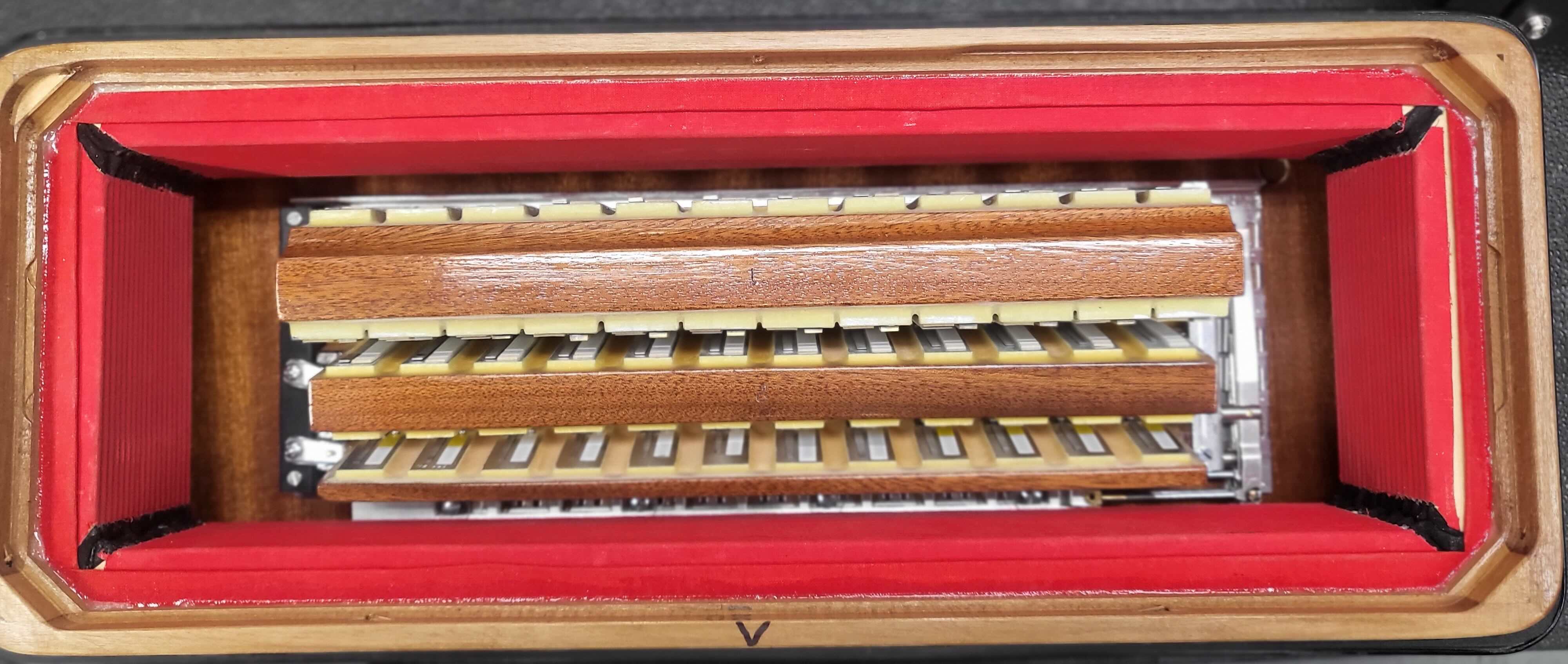 Bugari Reeds Bugari 288 Gold Series (19 1/2