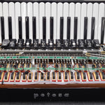 petosa AM-1100 Concert w/ Limex MIDI (19 1/2" LMMH II TC)