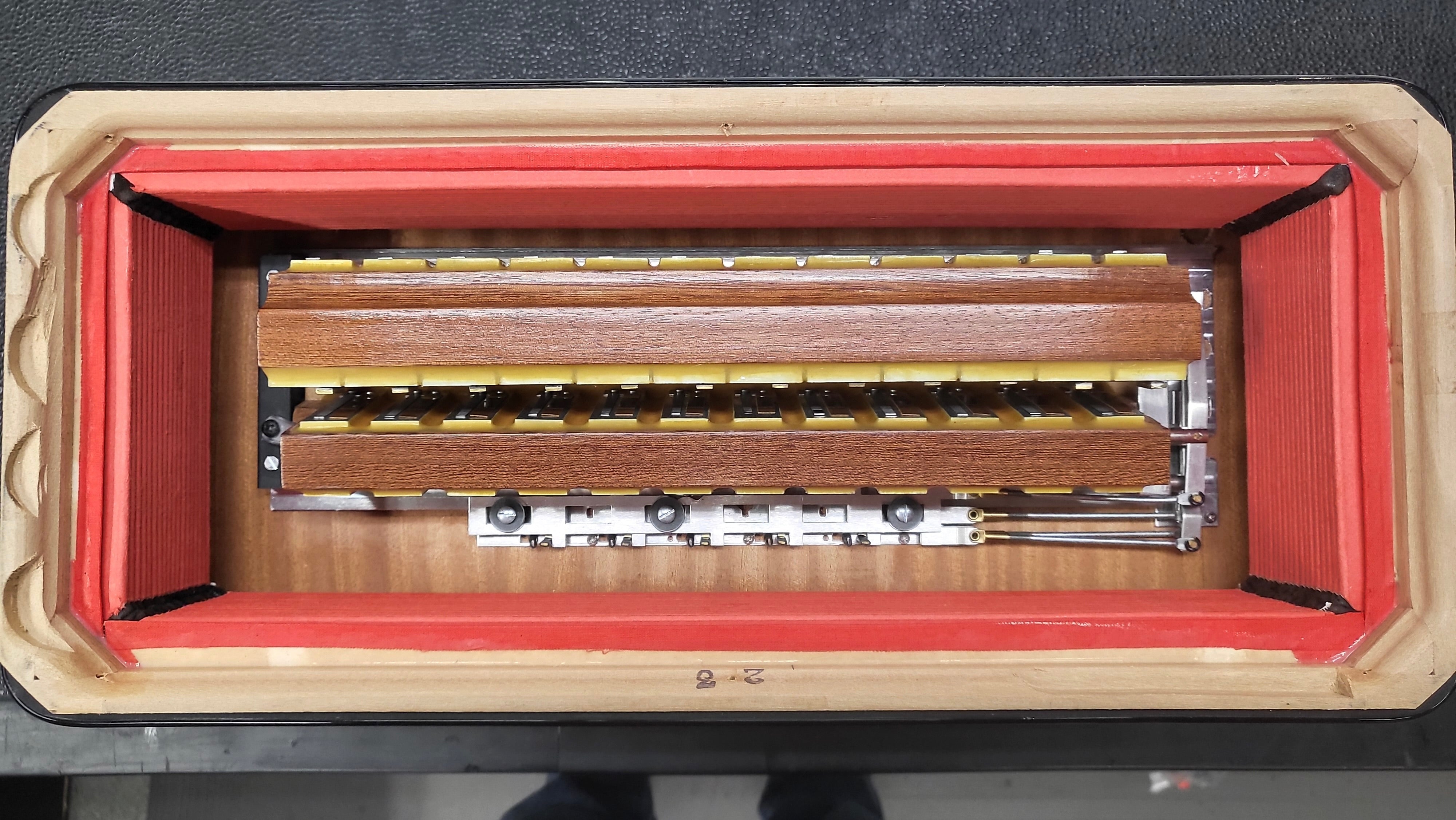 petosa Artista (37/96 LMMH)