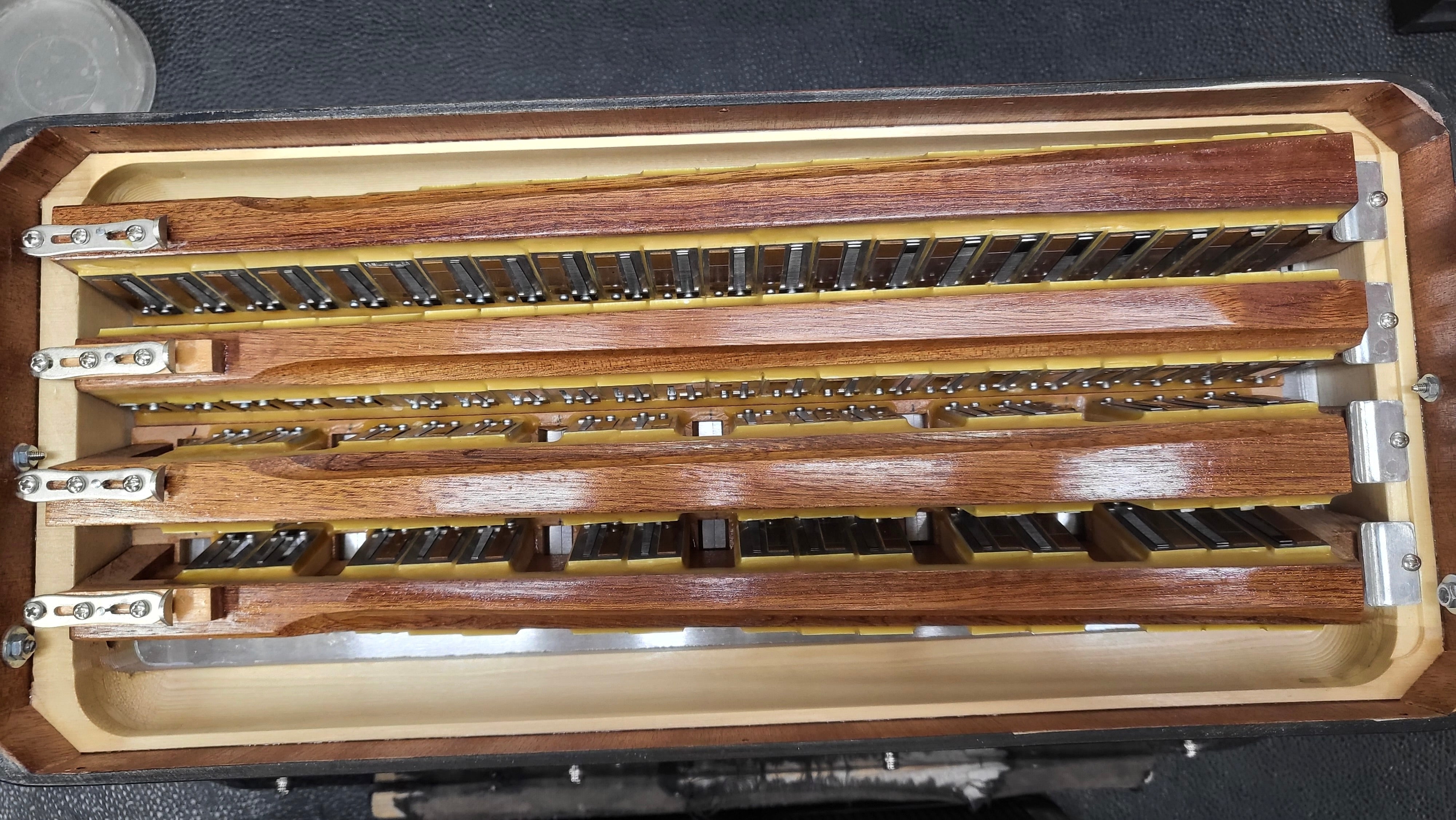 petosa Artista (37/96 LMMH)