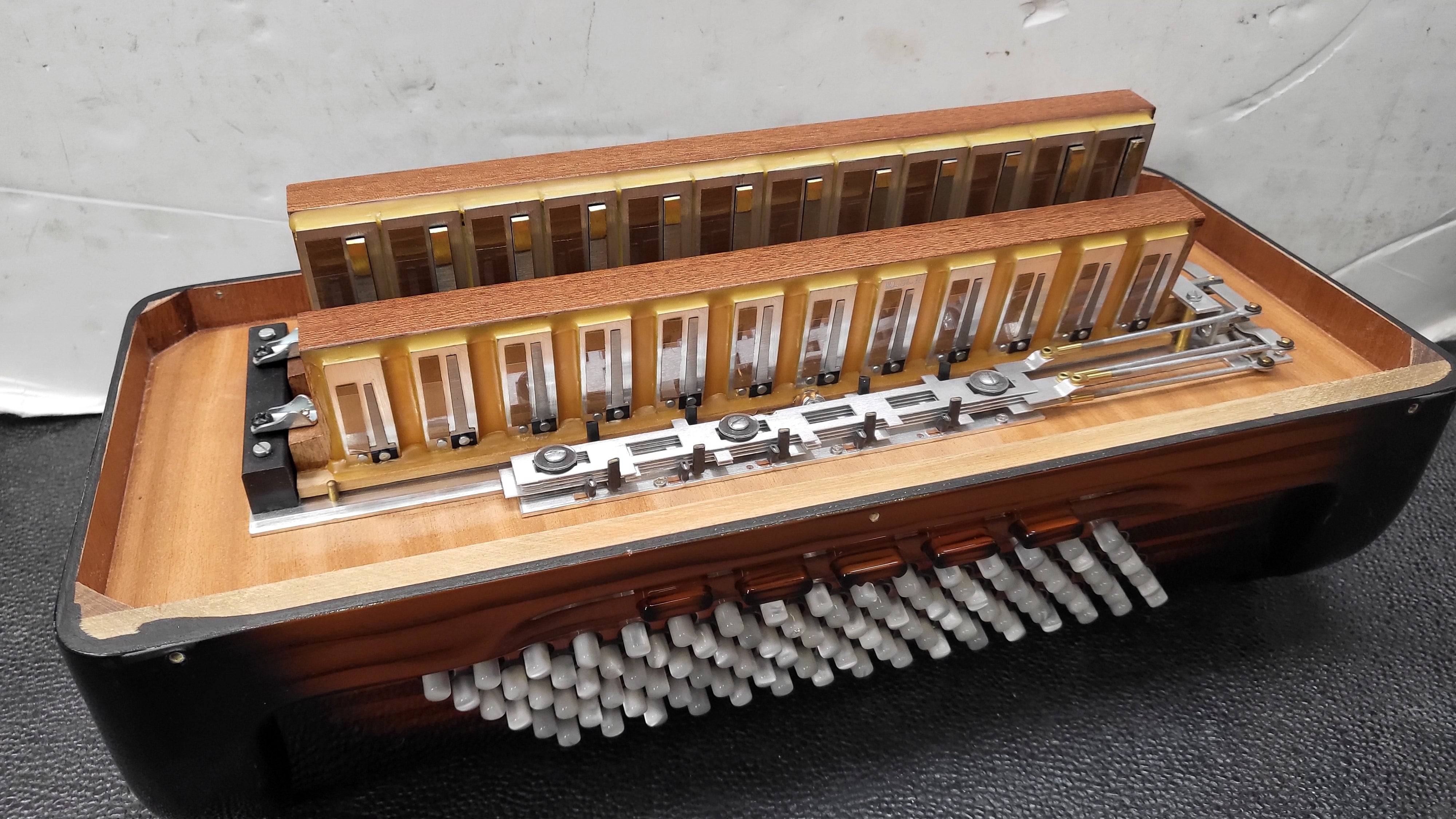 petosa Artista (37/96 LMMH)