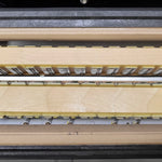 Weltmeister Topas IV  (17 3/8" LMMM)