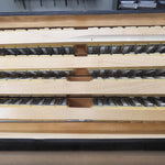 Weltmeister Topas IV  (17 3/8" LMMM)