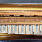 petosa AM-1200 Special  (19 1/4" LMM II TC)