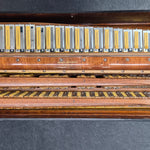 petosa AM-1100 Concert (19 1/4" LMMH  II TC)