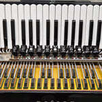 petosa AM-1100 Concert (19 1/4" LMMH  II TC)