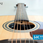Harmonik GT02-PZ Guitar Microphones