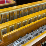 petosa Artista Pro Xt (19 1/4" LMMH II TC)