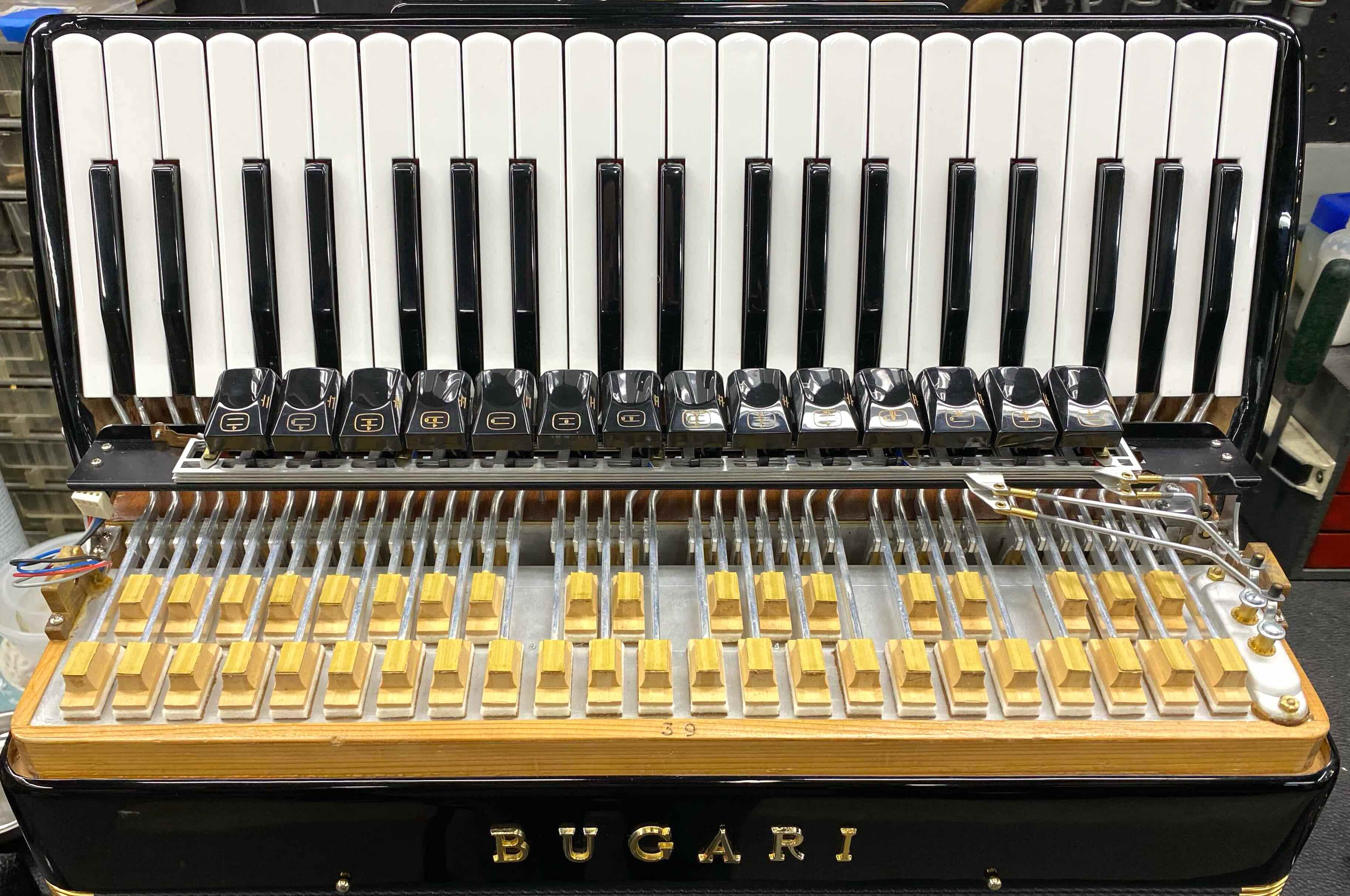 Bugari Reeds Bugari 288 Gold (19 1/4