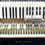 petosa Series II (19 1/2" LMM)