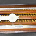 petosa Series II  (19 1/2" LMM)