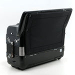 petosa Series II  (19 1/2" LMM)