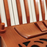 petosa Artista Pro Xt (19 1/4" LMMH II TC)