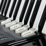 petosa Series II (19 1/2" LMM)