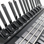 Weltmeister Topas IV  (17 3/8" LMMM)