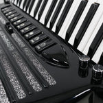 petosa AM-1100 Concert/Musette w/ Harmonik AC 5001+  (19 1/2" LMMH/LMMM II TC)