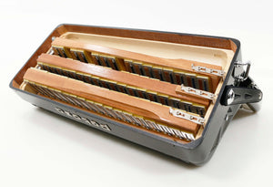 アエオニウム　ベストコンディション アエオニウム ベストコンディション 【公式通販】